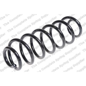 Coil Spring - Rear