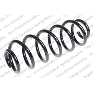 Coil Spring - Rear