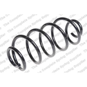 Coil Spring - Rear