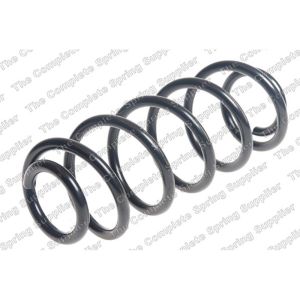 Coil Spring - Rear