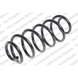 Coil Spring - Rear