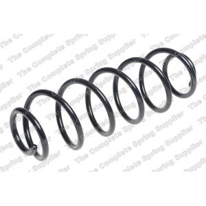 Coil Spring - Rear