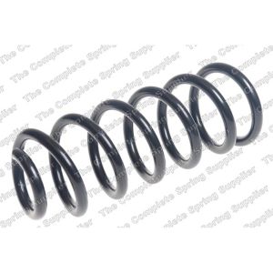 Coil Spring - Rear