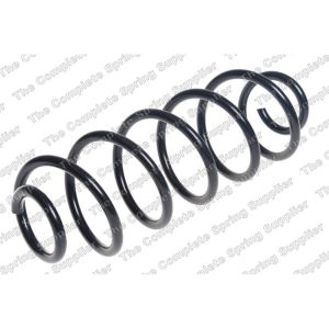 Coil Spring - Rear