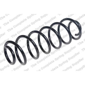 Coil Spring - Rear