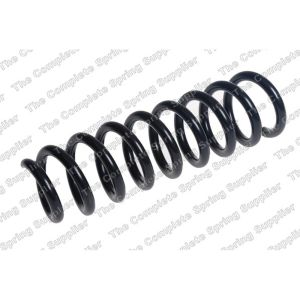 Coil Spring - Rear