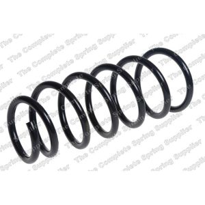 Coil Spring - Rear