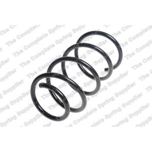 Coil Spring - Rear