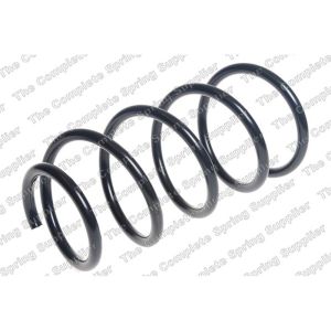 Coil Spring - Rear