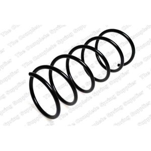 Coil Spring - Rear