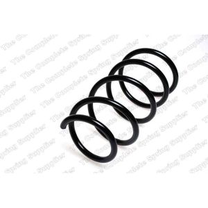 Coil Spring - Rear