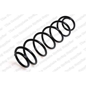 Coil Spring - Rear