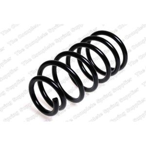 Coil Spring - Rear