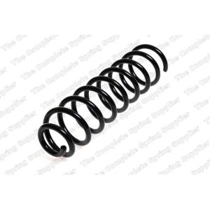 Coil Spring - Rear