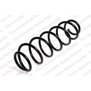 Coil Spring - Rear