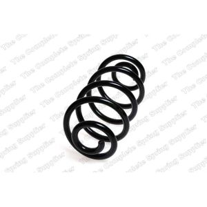 Coil Spring - Rear