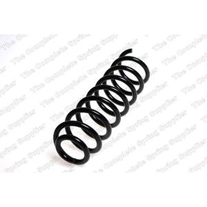 Coil Spring - Rear