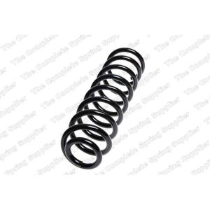 Coil Spring - Rear