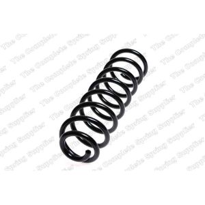 Coil Spring - Rear