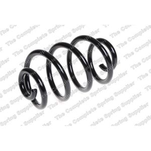 Coil Spring - Rear