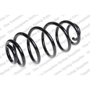 Coil Spring - Rear