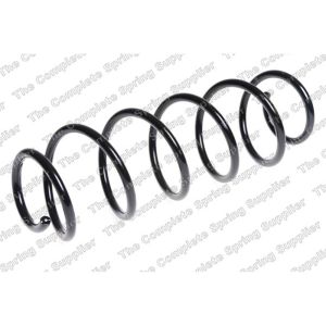 Coil Spring - Rear