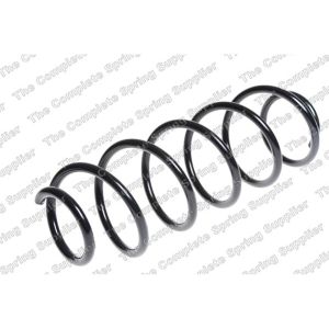 Coil Spring - Rear