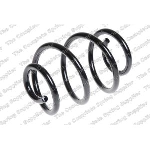 Coil Spring - Rear