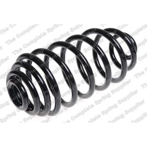 Coil Spring - Rear