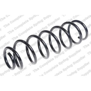 Coil Spring - Rear