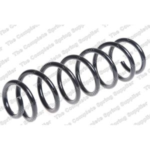 Coil Spring - Rear