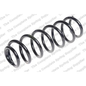 Coil Spring - Rear