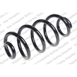 Coil Spring - Rear