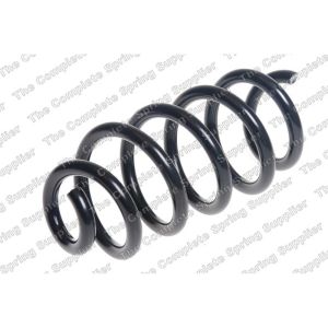 Coil Spring - Rear