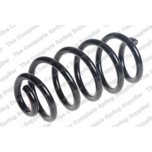 Coil Spring - Rear