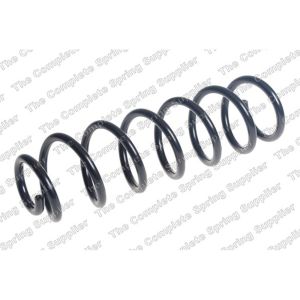 Coil Spring - Rear