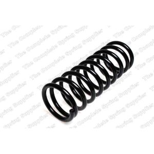 Coil Spring - Rear