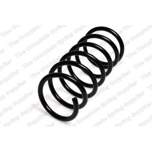 Coil Spring - Rear