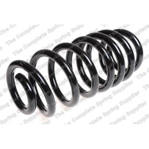 Coil Spring - Rear