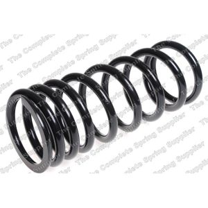 Coil Spring - Rear