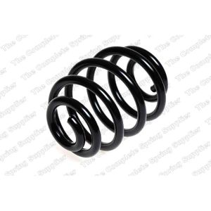 Coil Spring - Rear