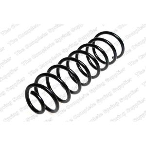 Coil Spring - Rear