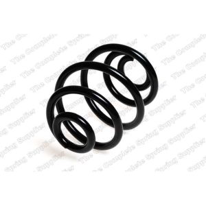 Coil Spring - Rear