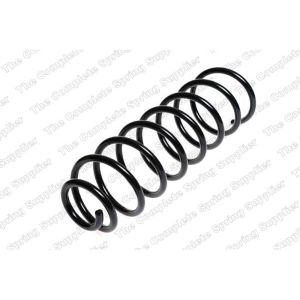 Coil Spring - Rear