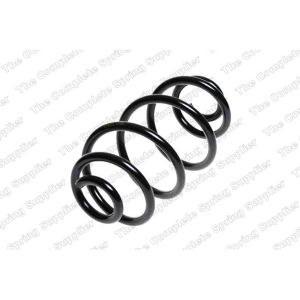 Coil Spring - Rear