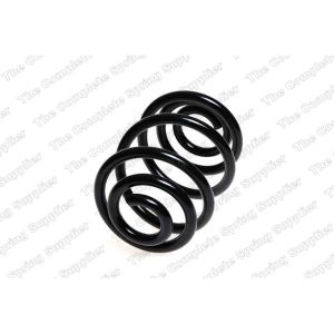 Coil Spring - Rear