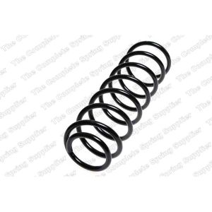 Coil Spring - Rear