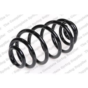 Coil Spring - Rear