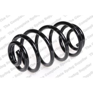 Coil Spring - Rear