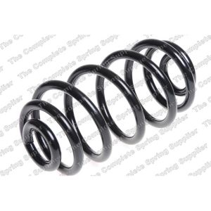 Coil Spring - Rear